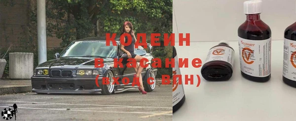 шишки Вяземский