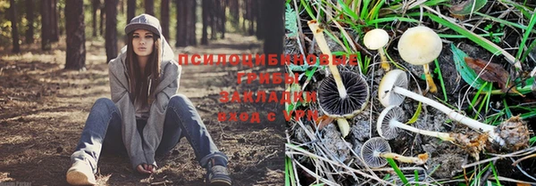 шишки Вяземский