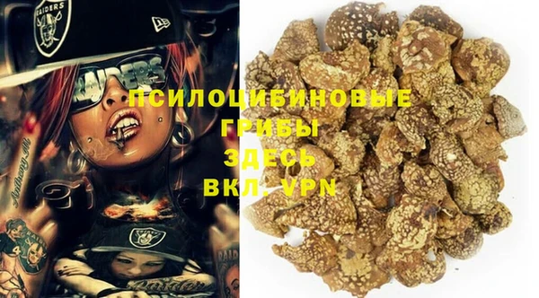 спайс Вязьма
